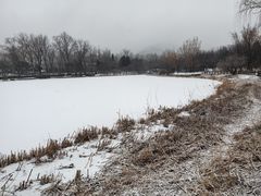 -北京植物园-展览温室