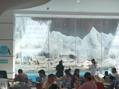 -帝企鹅自助餐厅•儿童岛•真企鹅(长隆企鹅酒店)