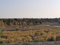 -库伦旗银沙湾旅游景区
