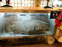 -御唐府海珊瑚主题餐厅