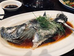 -上海世茂皇家艾美酒店