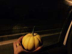 -江杨农产品批发市场