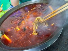 鲜毛肚-星鸿社重庆老火锅