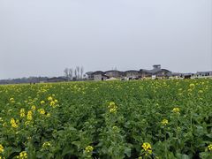 -中国天府农业博览园