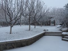 -南开大学滨海学院