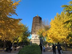 -玲珑塔公园