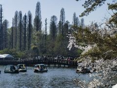 -井之头恩赐公园