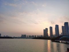 -五缘湾湿地公园