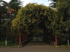 -陕西师范大学(雁塔校区)