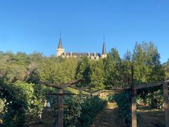 -北京张裕爱斐堡酒庄