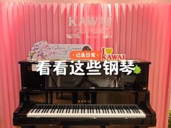 -柏斯音乐艺术中心·钢琴·吉他(上音店)