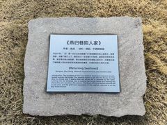 -城市阳台