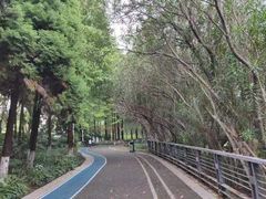 -苏州河梦清园环保主题公园