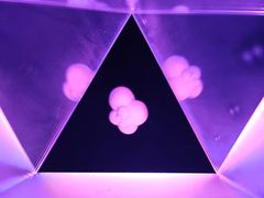 -同济大学四平路校区深海探索馆