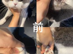 -听TA说宠咖·宠物生活馆(天韵水岸店)