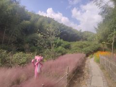 -宁波浙东大竹海景区