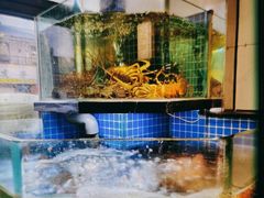 -小厨师·二十年沈家门小海鲜(百井坊巷店)