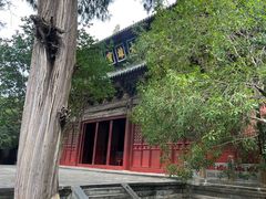 -报恩寺(平武县)