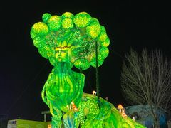 -淄博花灯齐彩城