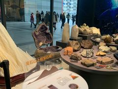 -浙江自然博物院(杭州馆)