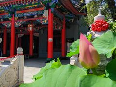 -哈尔滨极乐寺