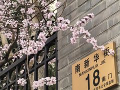 -北京师范大学附属中学