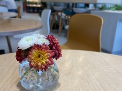 -小西家作(富力爱丁堡店)