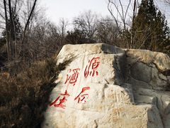 -源石酒庄