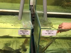 -ZF Seafood Restaurant 卓峰海鲜餐