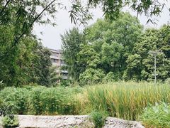 -成都市活水公园