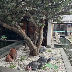 -保丽宝泰母婴护理院·月子中心·产康·中医(常州店)
