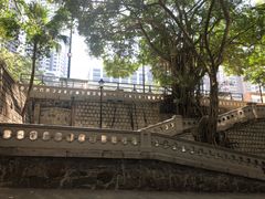 -香港佐治五世纪念公园