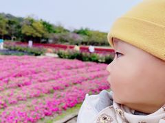 -丹樱生态园