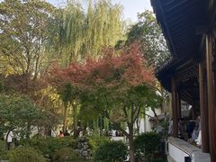 -秋霞圃