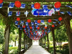 -白马涧龙池景区
