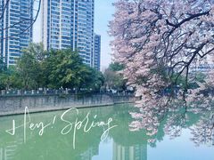 -红星桥(地铁站)