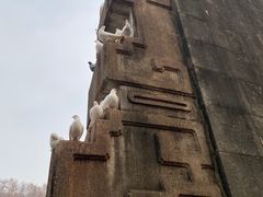 -音乐台