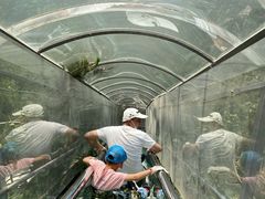 -海阳地雷战旅游区