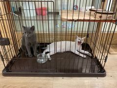 -iF摄影•全家福•证件照•形象照(南山店)