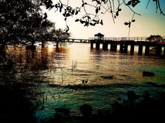 -宝安西湾红树林湿地公园