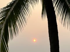 -日落吧·海景咖啡厅·餐酒吧·鸡尾酒·下午茶·乐队表演·浪漫夕阳·三亚文华东方酒店