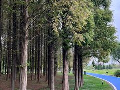 -宜兴龙背山森林公园