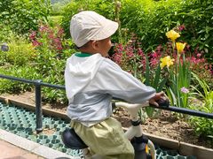 -国家植物园南园