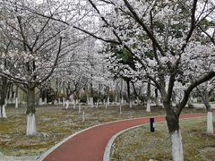 -江南大学(蠡湖校区)