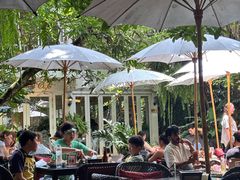 -Fern Forest Cafe