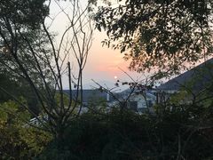 -上海市保健医疗中心(华东疗养院)
