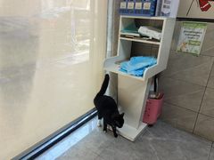 -半岛宠物医院24小时(白果林店)