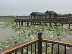 -天津东丽湖风景区