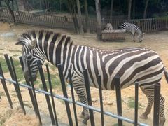 -南昌动物园