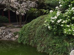 -碑林公园